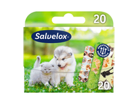 Vaikiškų pleistrų rinkinys SALVEQUICK ANIMALS, 20 vnt., 20 vnt.
