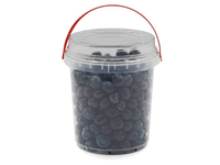 Šilauogės, 500 g