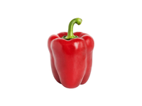 Paprika raudona, kg