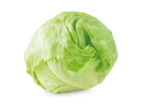 Gūžinės salotos ICEBERG, 10 d., 1 vnt.