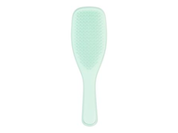TANGLE TEEZER DETANGLING FINE & FRAGILE plaukų šepetys