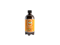 Ekol.ž.citrinų sk.žal.arbatos gėrimas KOMBUCHA su imbierais, 400 ml