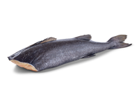 Šaldyta mažoji angliažuvė,be galvos,skrosta,0% glazūra, 2.3 - 3,2 kg. 23,27kg
