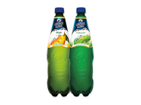 Gazuotas gėrimas KAZBEGI (2 rūšių), 1 l