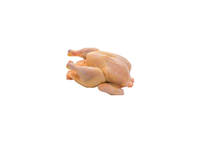 Šaldytas kukurūzinis viščiukas, 2x ~450-500 g Prancūzija