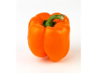 Paprikos, saldžiosios, oranžinės, I klasė, kg