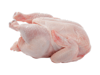 Atvėsintas viščiukas broileris, vakuume, 1,6 - 2,2 kg