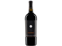 Raud. s. vynas FANTINI MONTEP., 13 %, 0,75 l