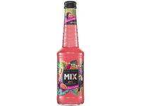 MIX Gin & Passion Fruit 0,33 l