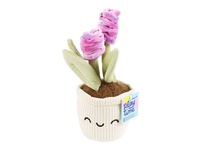 Pliušinis augalas RIMI PLAYTIME, 25 cm