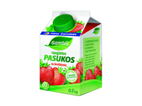 Raugintos GAMTOS pasukos su braškėmis, 0,3 % rieb., 500 g