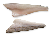 Šaldyta sterko filė, su oda, 10%, 300-500, 5kg