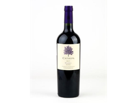 Vynas BODEGA ATAMISQUE Catalpa Malbec, sausas, raudonas, 0,75l